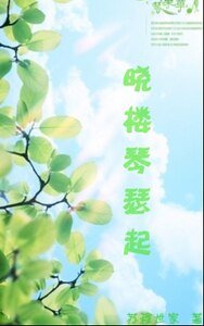 晓楼琴瑟起