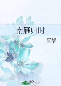 南雁归时