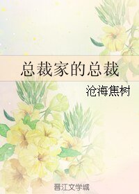 （魔幻手机同人）总裁家的总裁