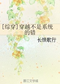 （综同人）[综穿]穿越不是系统的错