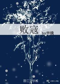 败寇