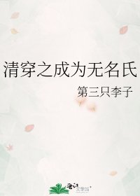 清穿之成为无名氏