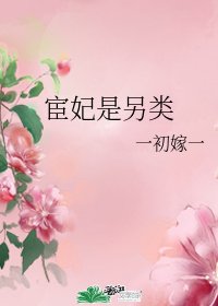 宦妃是另类