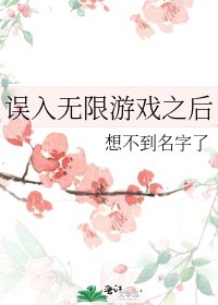 误入无限游戏之后