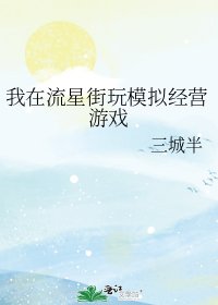 （BG/火影同人）我在流星街玩模拟经营游戏