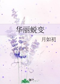 华丽蜕变