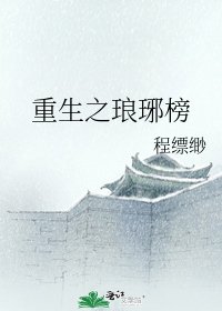 重生之琅琊榜