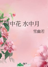 镜中花 水中月