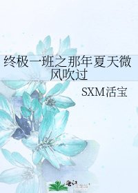 终极一班之那年夏天微风吹过