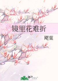 镜里花难折