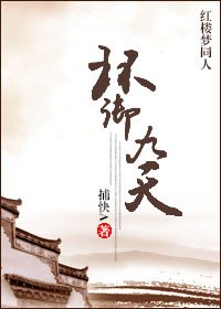 （BL/红楼同人）红楼之环御九天