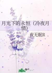 月光下的永恒（冷夜月情）