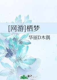 [网游]栖梦