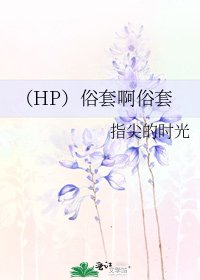 （HP）俗套啊俗套