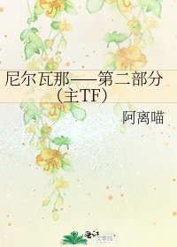 尼尔瓦那——第二部分（主TF）