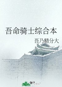 吾命骑士综合本