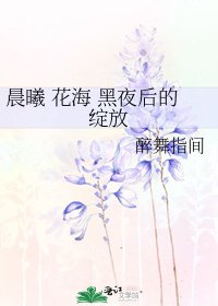 晨曦 花海 黑夜后的绽放