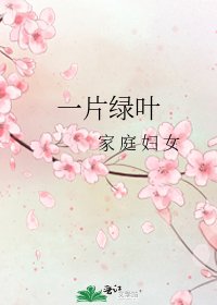 一片绿叶