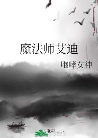 魔法师艾迪