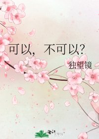 可以，不可以？