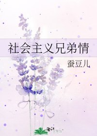 社会主义兄弟情