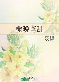 栀晚鸢乱