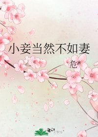 小妾当然不如妻