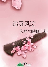 追寻风迹