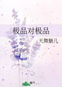 极品对极品