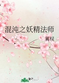 混沌之妖精法师