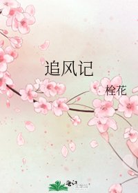 追风记