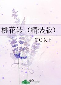 桃花转（精装版）