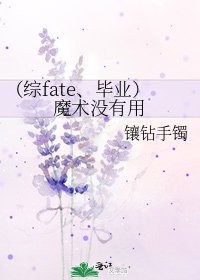 （综fate、毕业）魔术没有用