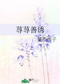 荨荨善诱