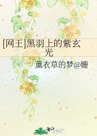 [网王]黑羽上的紫玄光