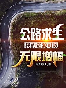 公路求生：我的资源可以无限增幅