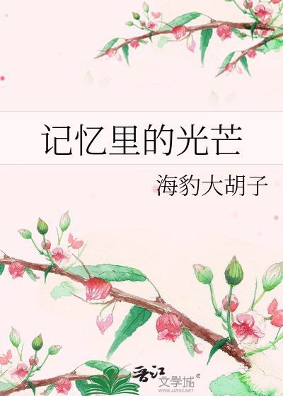 记忆里的光芒