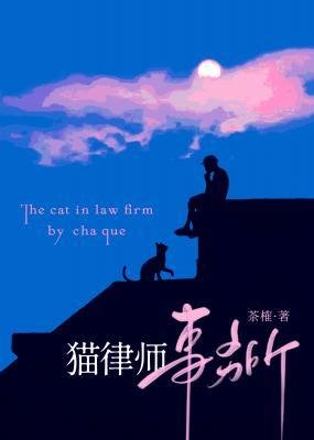 猫律师事务所