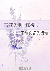 （BG/红楼同人）宫花为聘